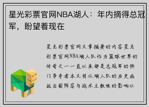 星光彩票官网NBA湖人：年内摘得总冠军，盼望着现在